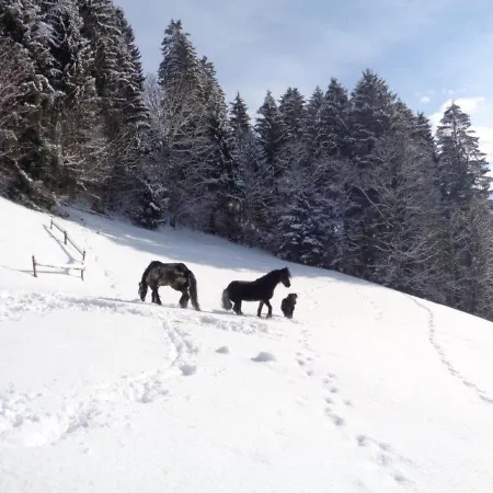 Sonnseitn-2 By Interhome * Gattererberg