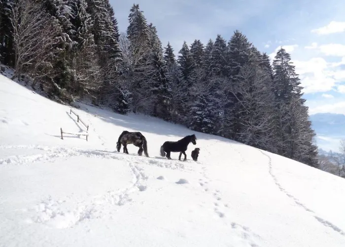 Sonnseitn-2 By Interhome * Gattererberg