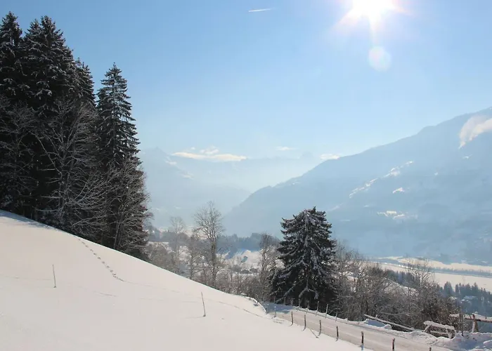 Sonnseitn-2 By Interhome * Gattererberg